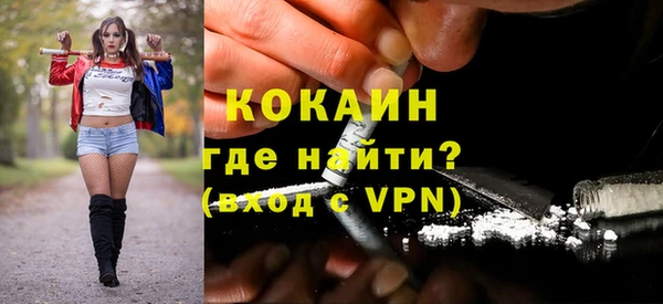 прущие грибы Вяземский
