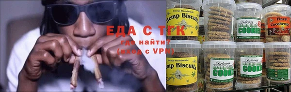 прущие грибы Вяземский