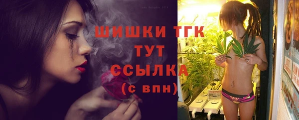 прущие грибы Вяземский
