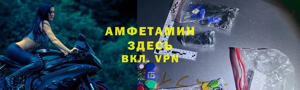 сатива Горняк