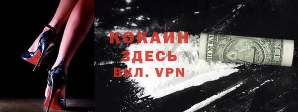 сатива Горняк