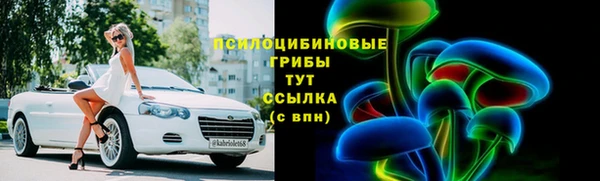 сатива Вязники