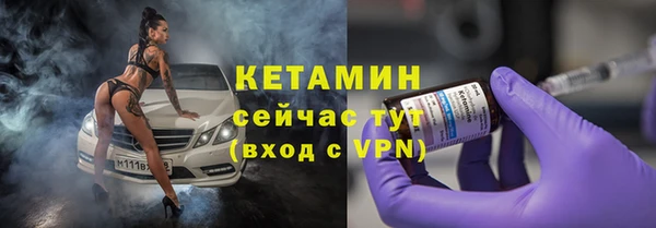 прущие грибы Вяземский