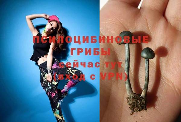 сатива Вязники