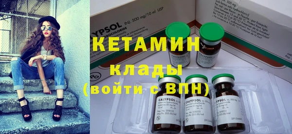 прущие грибы Вяземский