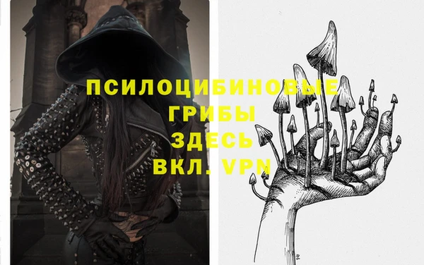 прущие грибы Вяземский