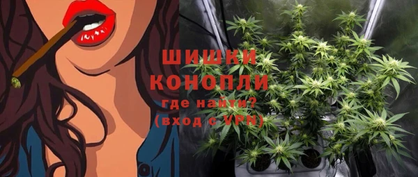 прущие грибы Вяземский