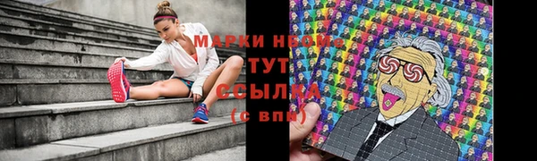 прущие грибы Вяземский